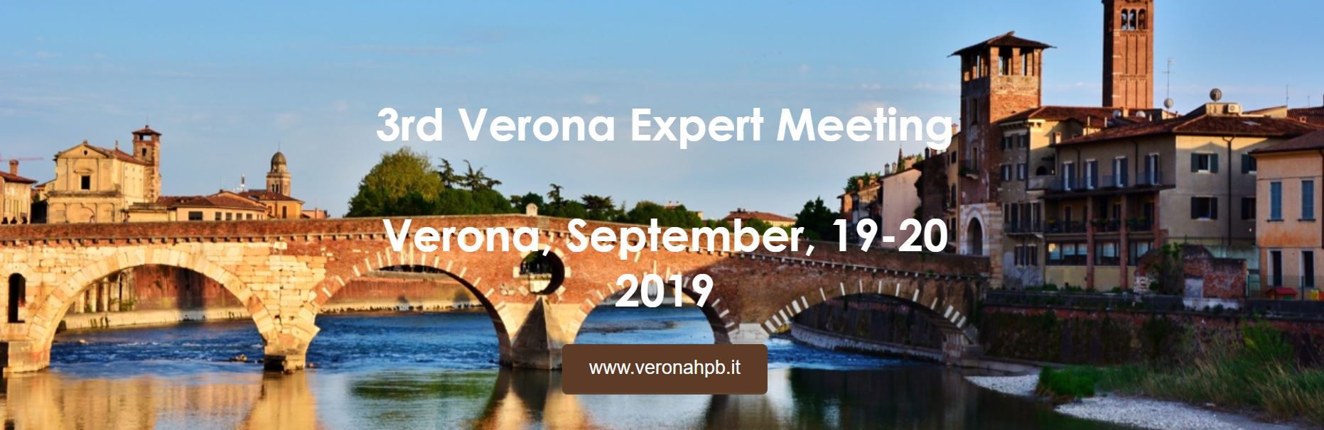 3rd Verona Expert Meeting: “Hepatocellular Carcinoma: New Landscapes And Horizons”