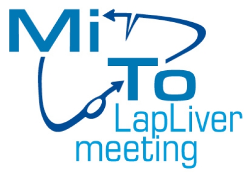 MiTo International Meeting On Laparoscopic Liver