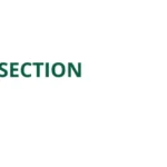 LAPAROSCOPIC Liver Resection Course